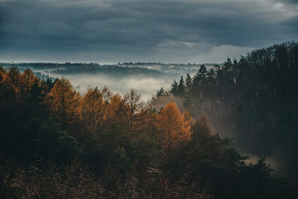 Bomen buigen door harde wind onder een donkere herfstlucht