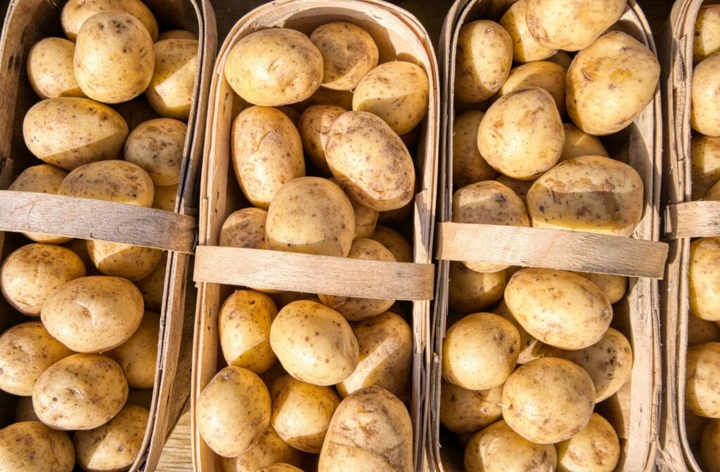 Kisten met geoogste aardappelen in een schuur