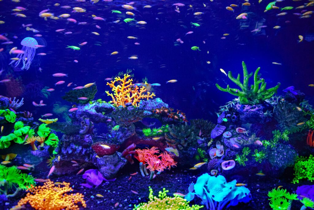 Tropisch aquarium met vissen en planten in een woonkamer